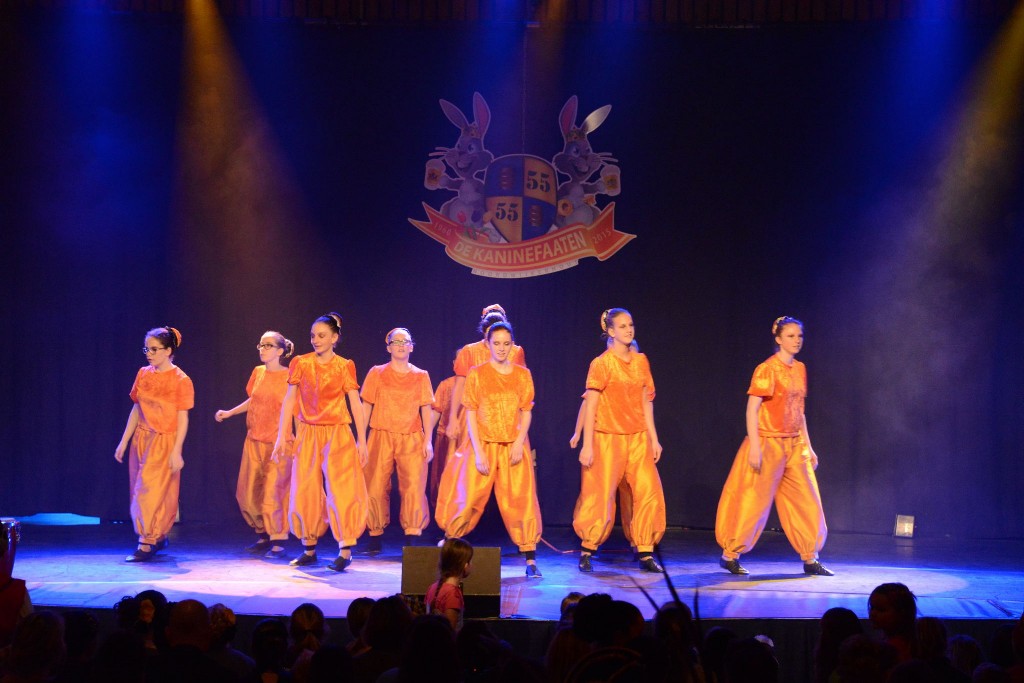 ../Images/Dansmarieke festival 2015 375.jpg